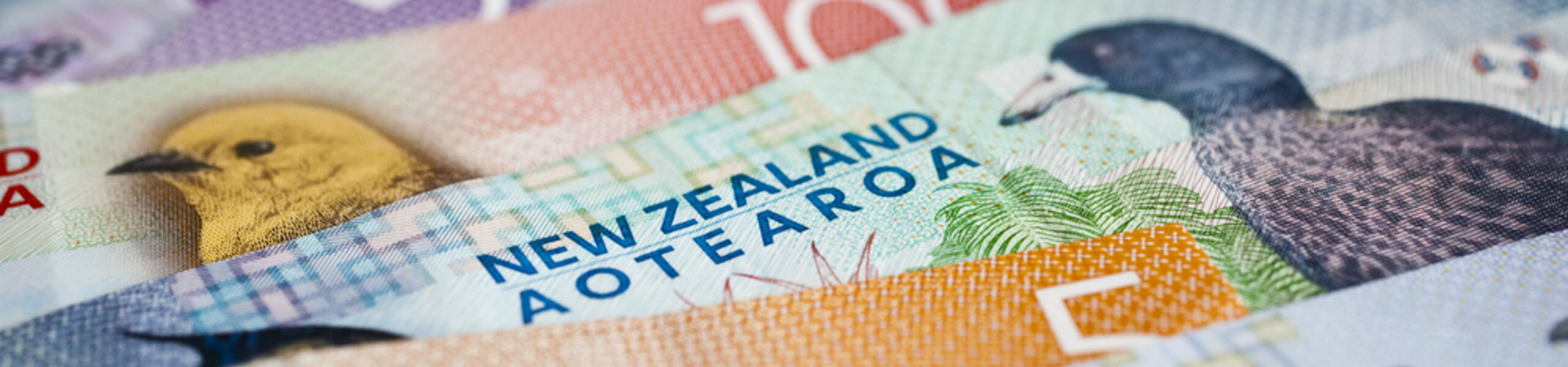 Kế hoạch giao dịch cặp ngoại tệ NZDUSD ngày 11/02/2019